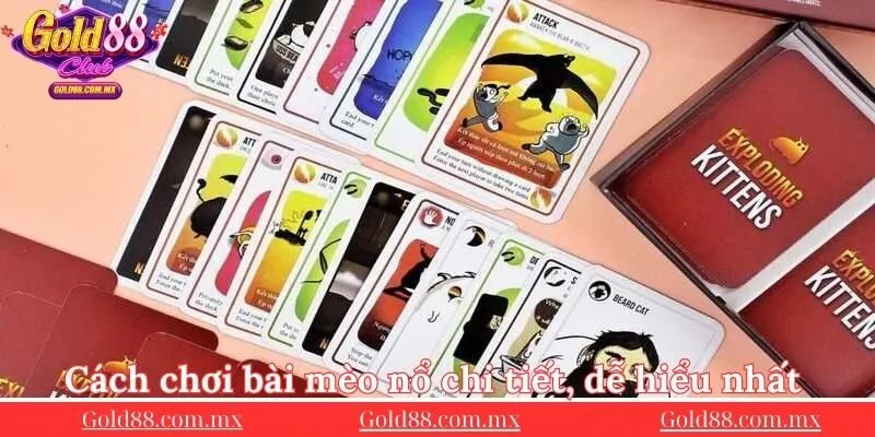 cach-choi-bai-meo-no-chi-tiet-de-hieu-nhat-cho-hoi-vien