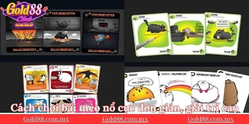 Cach-choi-bai-meo-no-cuc-don-gian-giai-tri-cao